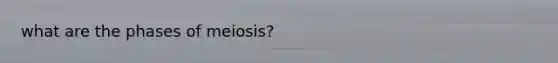 what are the phases of meiosis?