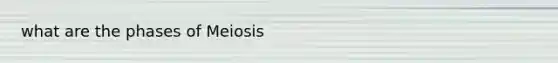 what are the phases of Meiosis
