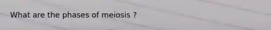 What are the phases of meiosis ?