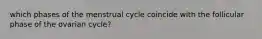 which phases of the menstrual cycle coincide with the follicular phase of the ovarian cycle?