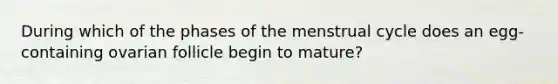 During which of the phases of the menstrual cycle does an egg-containing ovarian follicle begin to mature?