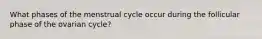 What phases of the menstrual cycle occur during the follicular phase of the ovarian cycle?