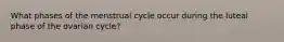 What phases of the menstrual cycle occur during the luteal phase of the ovarian cycle?