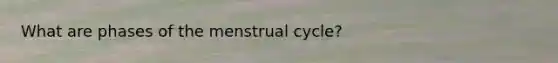 What are phases of the menstrual cycle?