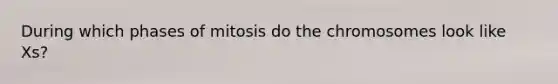 During which phases of mitosis do the chromosomes look like Xs?