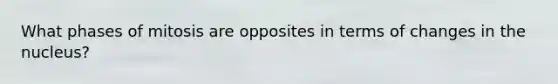 What phases of mitosis are opposites in terms of changes in the nucleus?