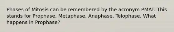 Phases of Mitosis can be remembered by the acronym PMAT. This stands for Prophase, Metaphase, Anaphase, Telophase. What happens in Prophase?