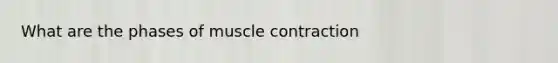 What are the phases of muscle contraction