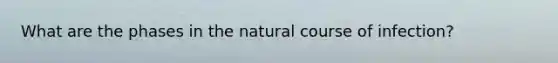 What are the phases in the natural course of infection?