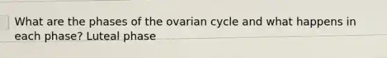 What are the phases of the ovarian cycle and what happens in each phase? Luteal phase