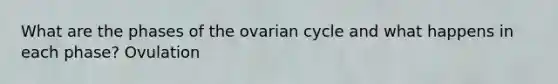 What are the phases of the ovarian cycle and what happens in each phase? Ovulation