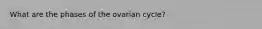 What are the phases of the ovarian cycle?