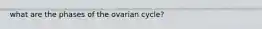 what are the phases of the ovarian cycle?
