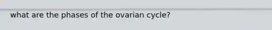 what are the phases of the ovarian cycle?