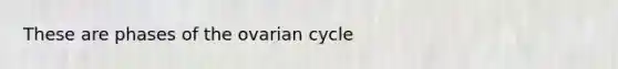 These are phases of the ovarian cycle