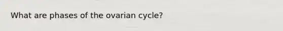 What are phases of the ovarian cycle?