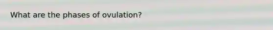 What are the phases of ovulation?