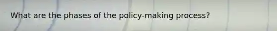 What are the phases of the policy-making process?