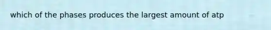which of the phases produces the largest amount of atp
