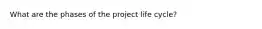 What are the phases of the project life cycle?