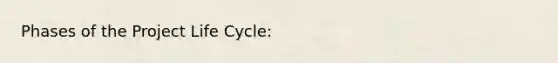 Phases of the Project Life Cycle: