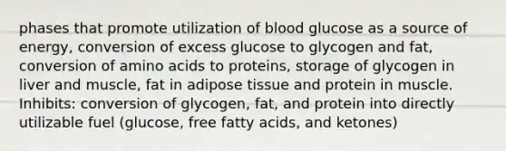 phases that promote utilization of blood glucose as a source of energy, conversion of excess glucose to glycogen and fat, conversion of amino acids to proteins, storage of glycogen in liver and muscle, fat in adipose tissue and protein in muscle. Inhibits: conversion of glycogen, fat, and protein into directly utilizable fuel (glucose, free fatty acids, and ketones)