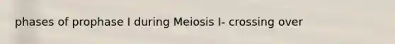 phases of prophase I during Meiosis I- crossing over