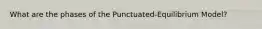 What are the phases of the Punctuated-Equilibrium Model?