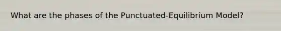 What are the phases of the Punctuated-Equilibrium Model?