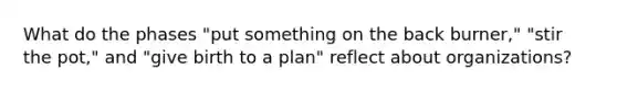 What do the phases "put something on the back burner," "stir the pot," and "give birth to a plan" reflect about organizations?