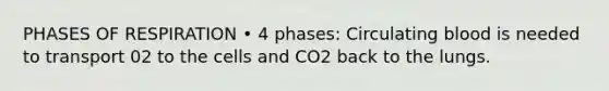 PHASES OF RESPIRATION • 4 phases: Circulating blood is needed to transport 02 to the cells and CO2 back to the lungs.