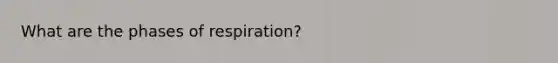 What are the phases of respiration?