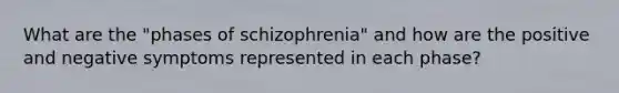 What are the "phases of schizophrenia" and how are the positive and negative symptoms represented in each phase?