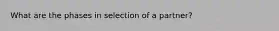 What are the phases in selection of a partner?