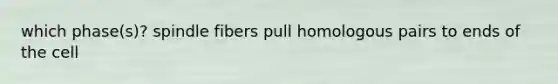 which phase(s)? spindle fibers pull homologous pairs to ends of the cell