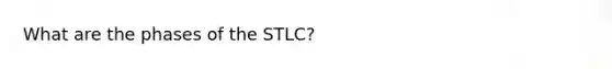 What are the phases of the STLC?