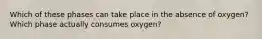 Which of these phases can take place in the absence of oxygen? Which phase actually consumes oxygen?