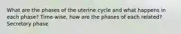 What are the phases of the uterine cycle and what happens in each phase? Time-wise, how are the phases of each related? Secretory phase