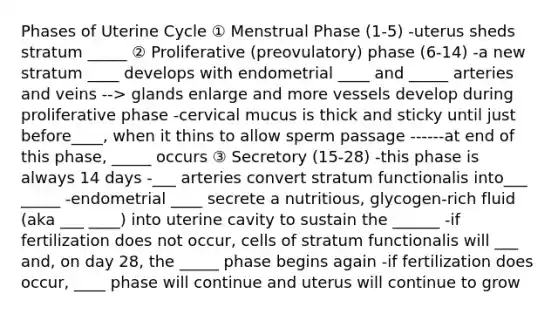 Phases of Uterine Cycle ① Menstrual Phase (1-5) -uterus sheds stratum _____ ② Proliferative (preovulatory) phase (6-14) -a new stratum ____ develops with endometrial ____ and _____ arteries and veins --> glands enlarge and more vessels develop during proliferative phase -cervical mucus is thick and sticky until just before____, when it thins to allow sperm passage ------at end of this phase, _____ occurs ③ Secretory (15-28) -this phase is always 14 days -___ arteries convert stratum functionalis into___ _____ -endometrial ____ secrete a nutritious, glycogen-rich fluid (aka ___ ____) into uterine cavity to sustain the ______ -if fertilization does not occur, cells of stratum functionalis will ___ and, on day 28, the _____ phase begins again -if fertilization does occur, ____ phase will continue and uterus will continue to grow