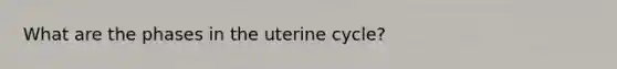 What are the phases in the uterine cycle?