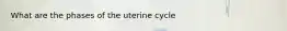 What are the phases of the uterine cycle