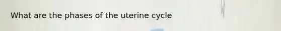 What are the phases of the uterine cycle