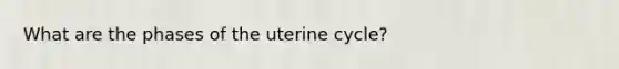 What are the phases of the uterine cycle?