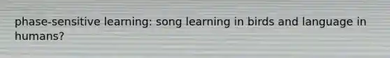 phase-sensitive learning: song learning in birds and language in humans?