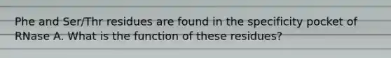 Phe and Ser/Thr residues are found in the specificity pocket of RNase A. What is the function of these residues?