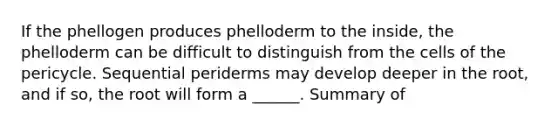 If the phellogen produces phelloderm to the inside, the phelloderm can be difficult to distinguish from the cells of the pericycle. Sequential periderms may develop deeper in the root, and if so, the root will form a ______. Summary of