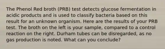 The Phenol Red broth (PRB) test detects glucose fermentation in acidic products and is used to classify bacteria based on this result for an unknown organism. Here are the results of your PRB test. The broth on the left is your sample, compared to a control reaction on the right. Durham tubes can be disregarded, as no gas production is noted. What can you conclude?