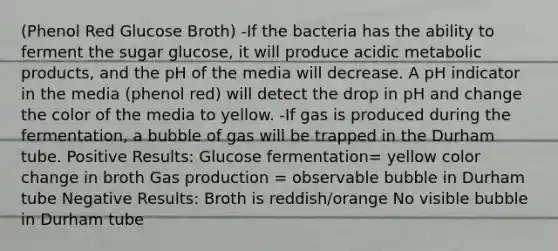 (Phenol Red Glucose Broth) -If the bacteria has the ability to ferment the sugar glucose, it will produce acidic metabolic products, and the pH of the media will decrease. A pH indicator in the media (phenol red) will detect the drop in pH and change the color of the media to yellow. -If gas is produced during the fermentation, a bubble of gas will be trapped in the Durham tube. Positive Results: Glucose fermentation= yellow color change in broth Gas production = observable bubble in Durham tube Negative Results: Broth is reddish/orange No visible bubble in Durham tube