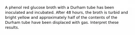 A phenol red glucose broth with a Durham tube has been inoculated and incubated. After 48 hours, the broth is turbid and bright yellow and approximately half of the contents of the Durham tube have been displaced with gas. Interpret these results.