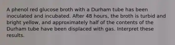 A phenol red glucose broth with a Durham tube has been inoculated and incubated. After 48 hours, the broth is turbid and bright yellow, and approximately half of the contents of the Durham tube have been displaced with gas. Interpret these results.